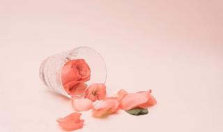 在我生命里的每一天 在我生命里的每一天